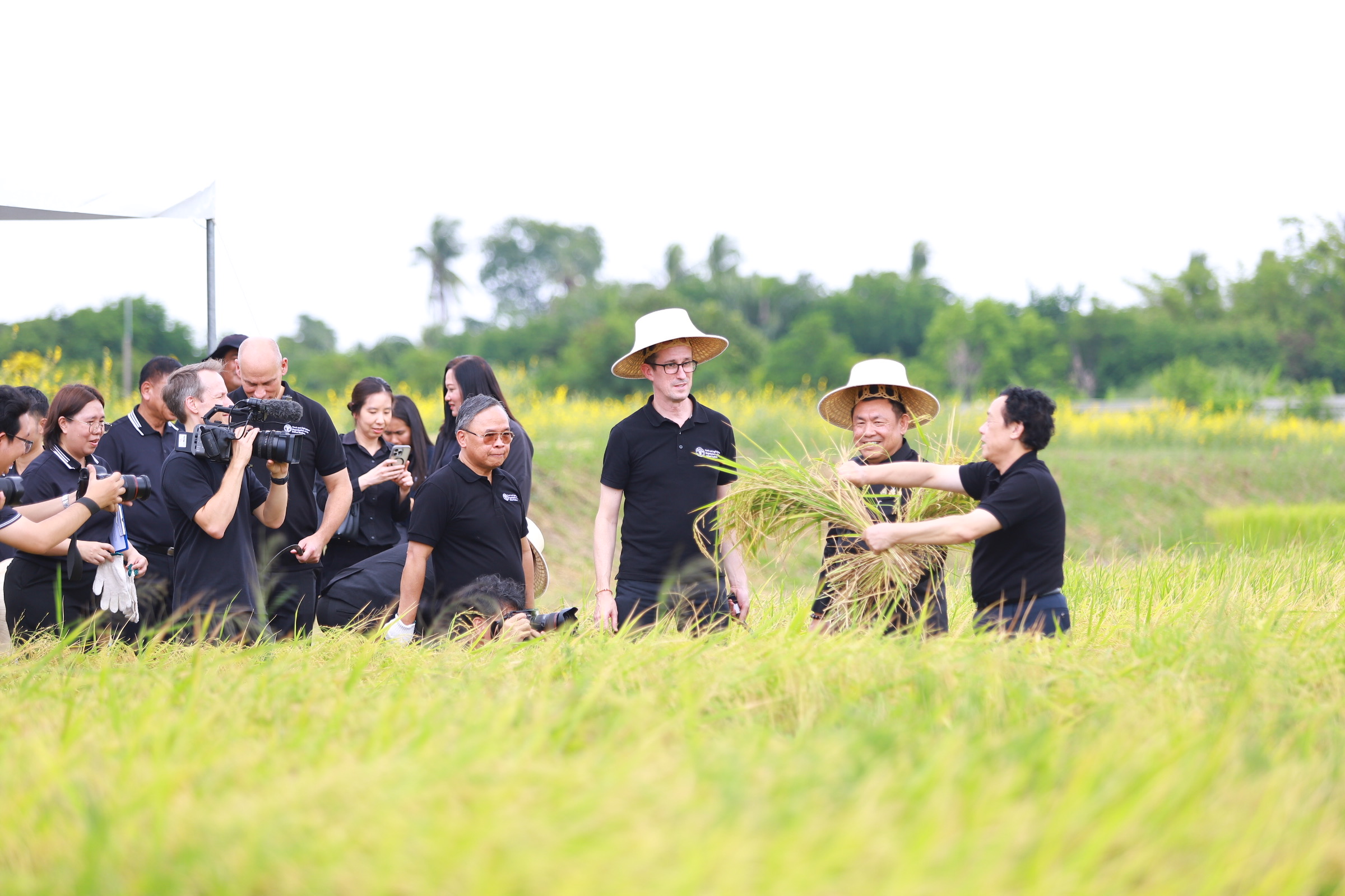title - ส.ป.ก. เปิดศูนย์ส่งเสริมและพัฒนาอาชีพเสริมนอกภาคเกษตร ต้อนรับผู้อำนวยการใหญ่ FAO แสดงผลงานด้านศิลปวัฒนธรรม